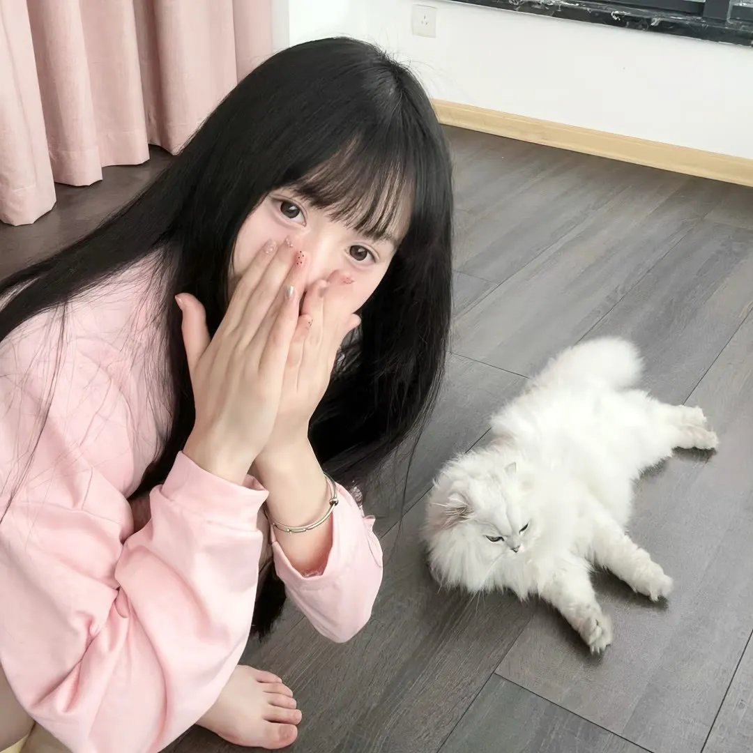 反抗军