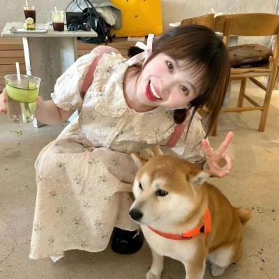 容易受伤的玫瑰